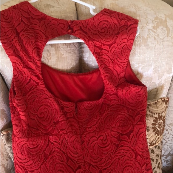 Stunning Red rose net dress - Picture 3 of 3